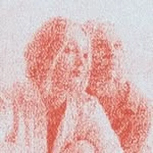 @gracieandrachel profile image