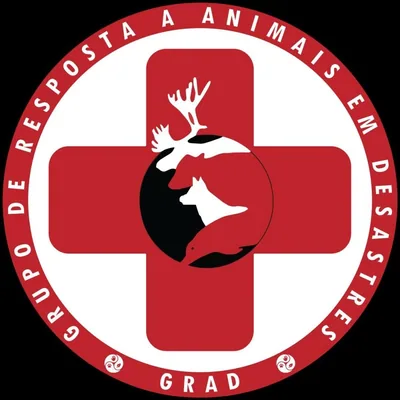 @gradbrasil profile image