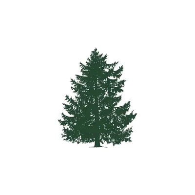 @grandforestmetsovo profile image