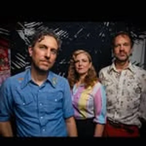 @great_lake_swimmers profile image