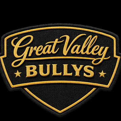 @greatvalleybullys profile image