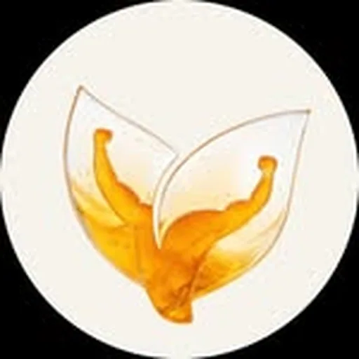 @green_whey profile image