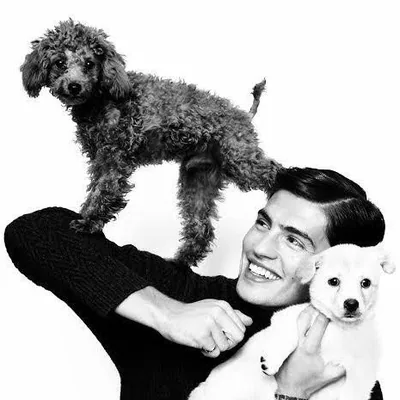 @greggsulkin profile image
