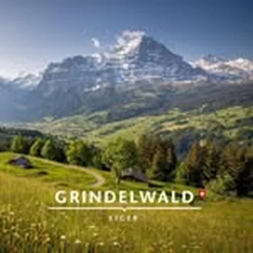 @grindelwald_eiger profile image