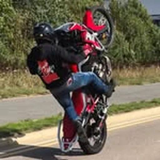 @gringomotovlogs profile image