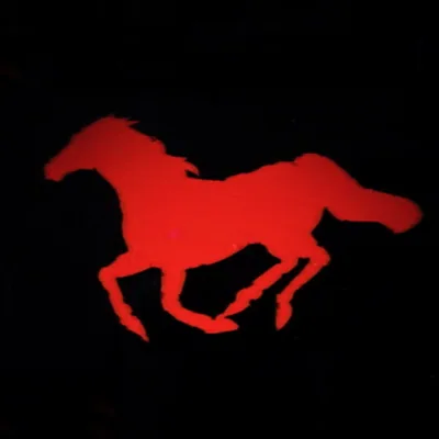@grljjj profile image