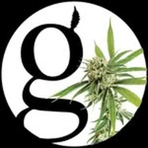 @growmagazine profile image
