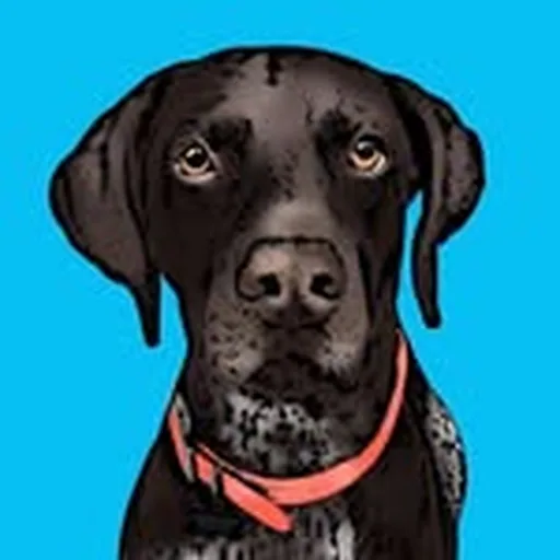 @gspoftheday profile image