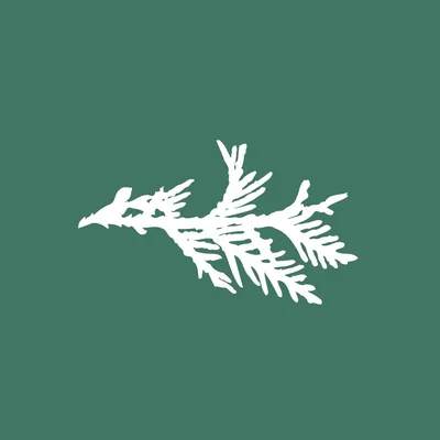 @gtrlc profile image