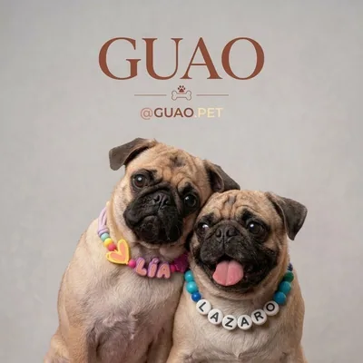 @guao.pet profile image