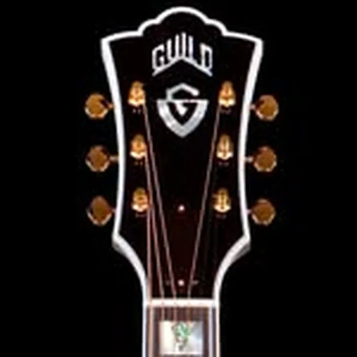 @guildguitars profile image
