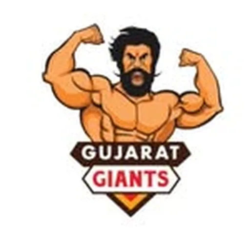 @gujaratgiants profile image