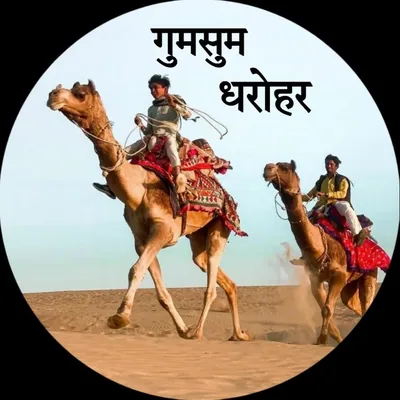 @gumsum_dharohar profile image