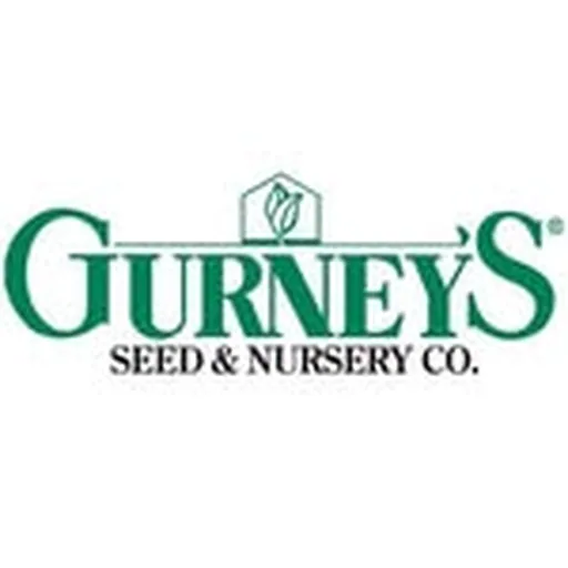 @gurneysseed profile image