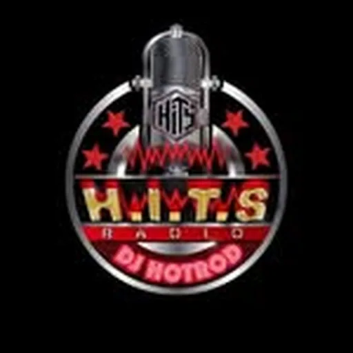 @h.i.t.s_radio profile image