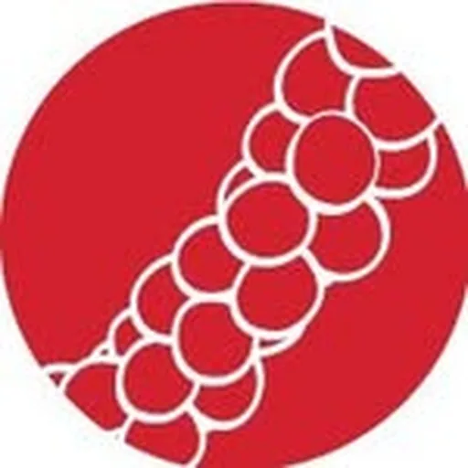 @haaheohc profile image