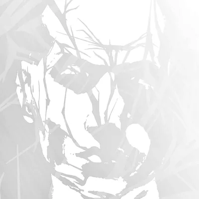 @hachulla profile image