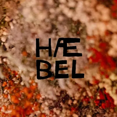 @haebel.hamburg profile image