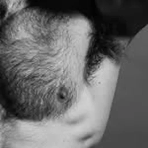 @hairy_guyz profile image