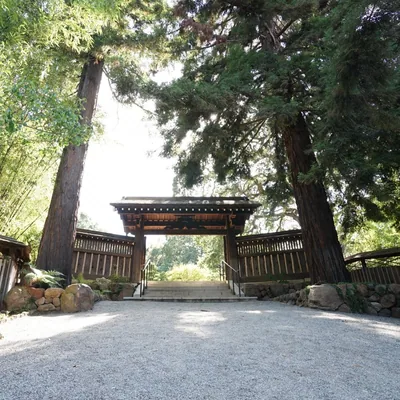 @hakonegardens profile image