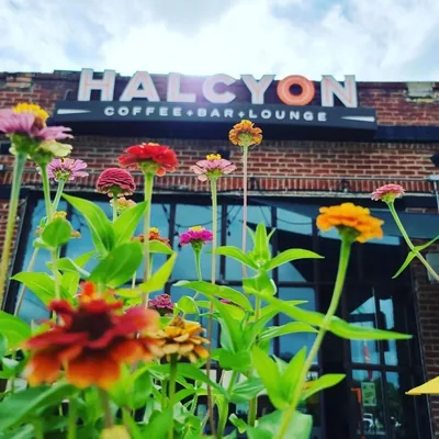@halcyondallas profile image