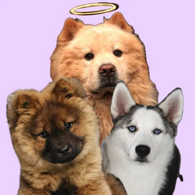 @halfbearhalfamazing profile image