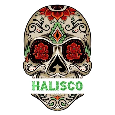 @haliscobrighton profile image