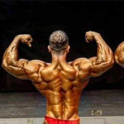 @hamid.jalalzade profile image