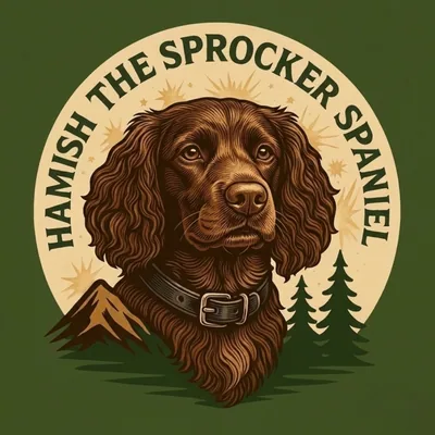 @hamishthesprockerspaniel profile image