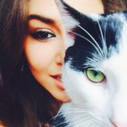 @handemiyy profile image