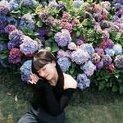 @hannchannn profile image