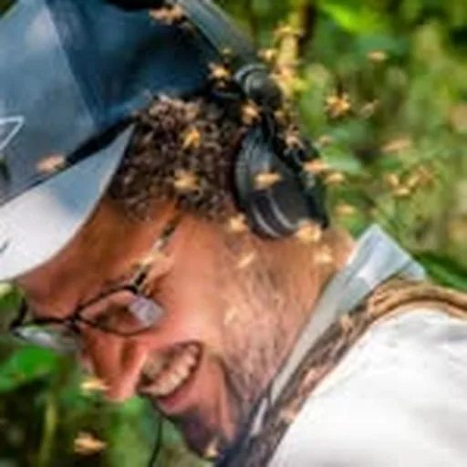 @hanzrippe profile image