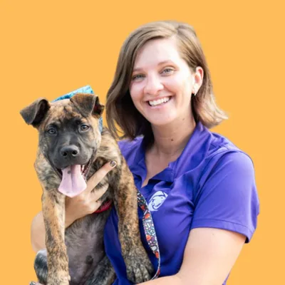 @happy.with.dogs profile image