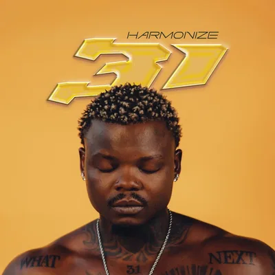 @harmonize_tz profile image