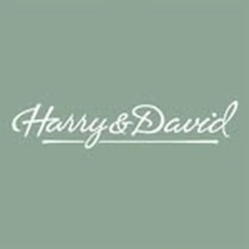 @harryanddavid profile image