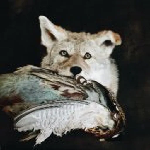 @hatchethall profile image