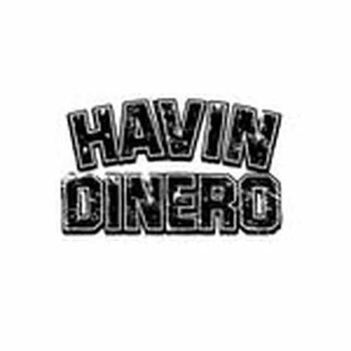 @havin.dinero profile image
