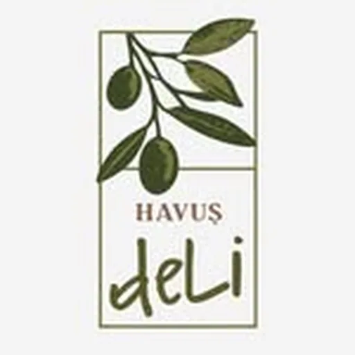 @havusdeli profile image