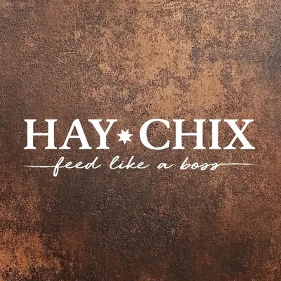 @haychix profile image
