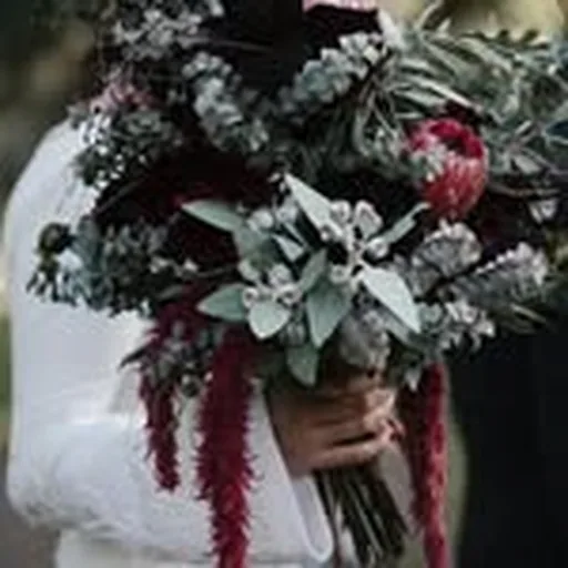 @haysflowers profile image