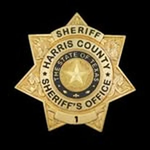 @hcsotexas profile image