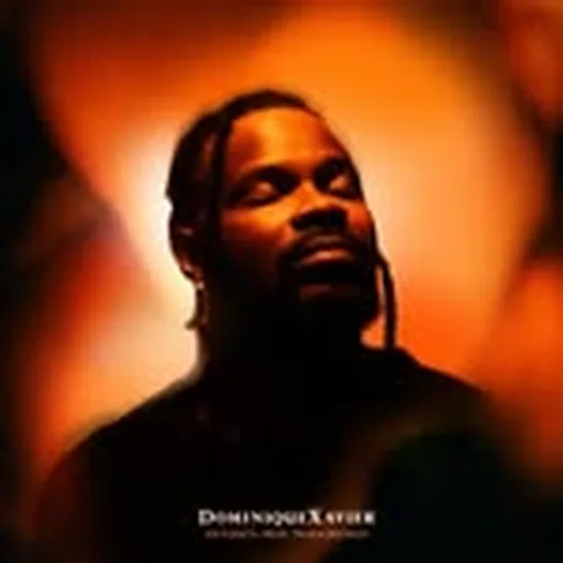 @heisdominiquexavier profile image