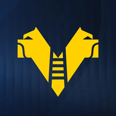 @hellasveronafc profile image