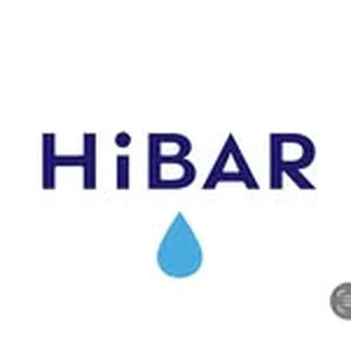 @hellohibar profile image