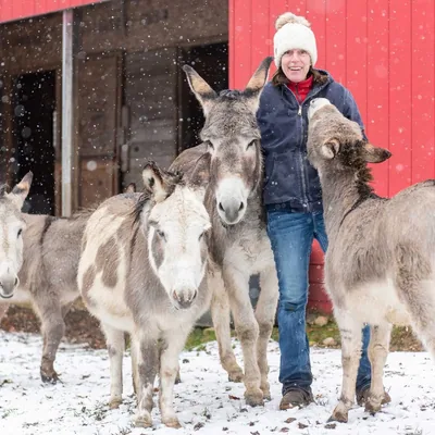 @helping_hooves_n_hearts_rescue profile image