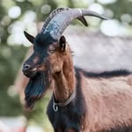 @hennes.ix profile image