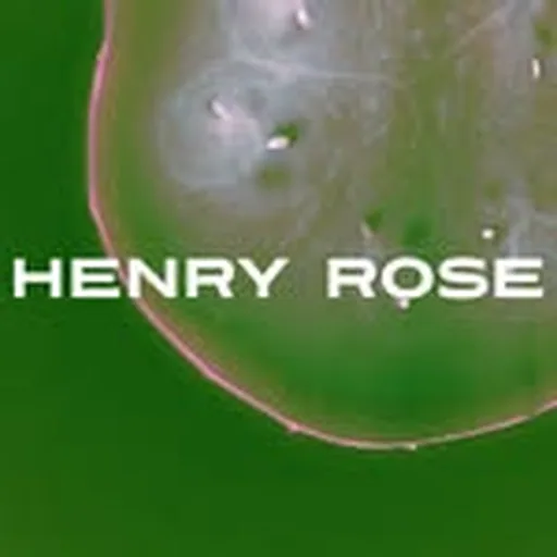 @henryrose profile image