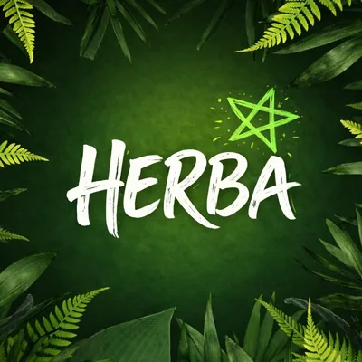 @herbadaily profile image