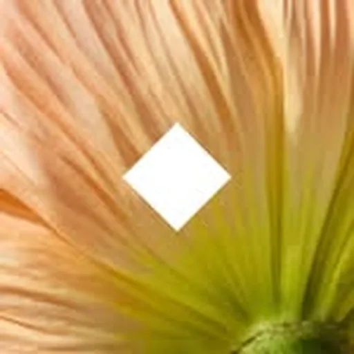 @herbivorebotanicals profile image