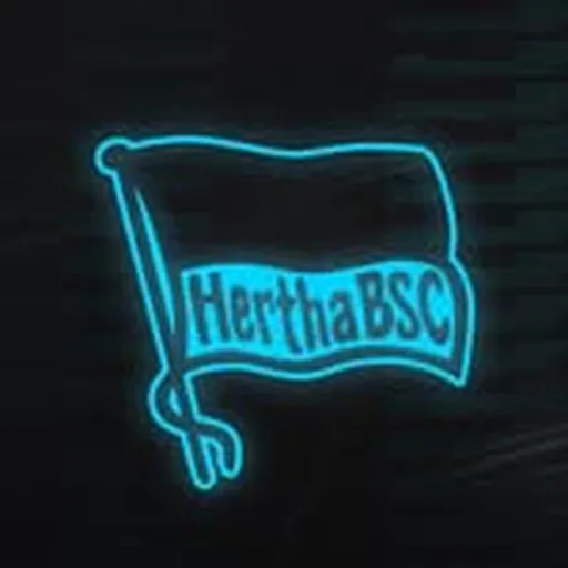 @herthabsc.esport profile image